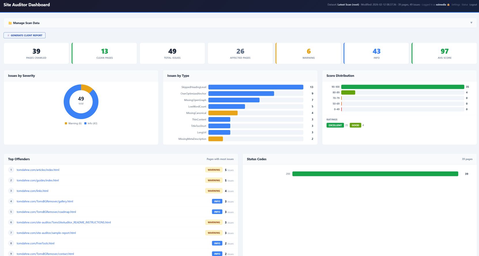 Website audit report showing SEO issues and indexing problems