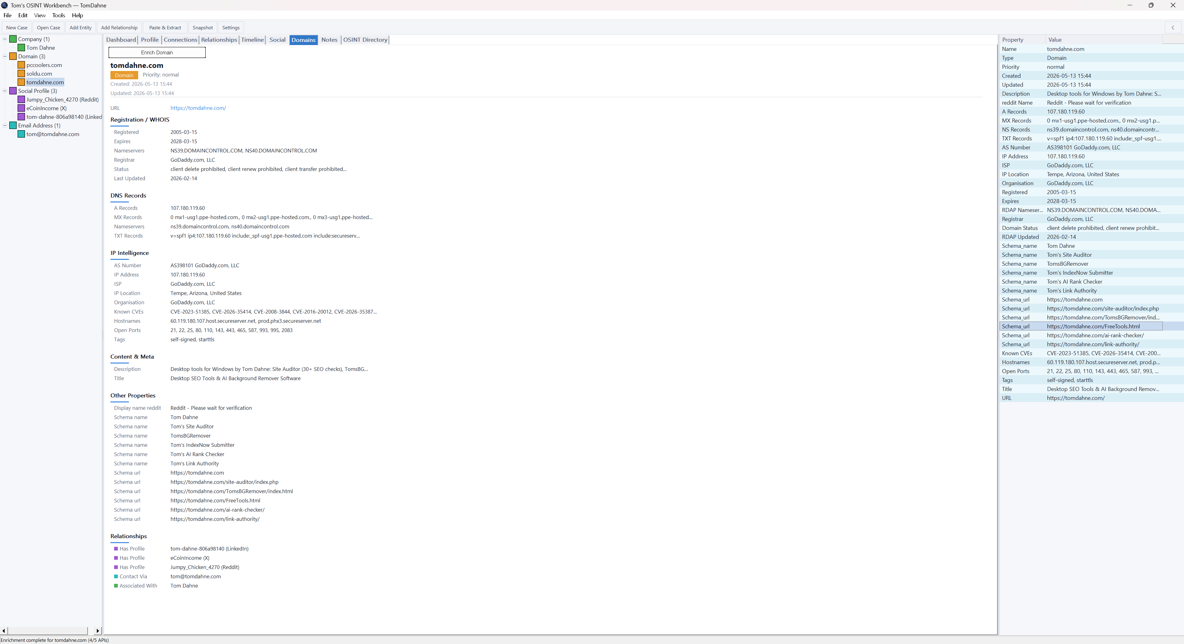 OSINT Workbench domains tab with full intelligence card